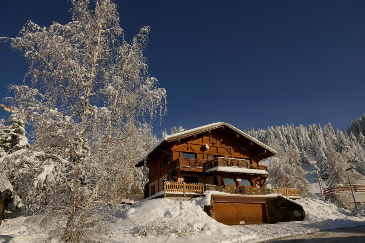 Les Saisies Cote Bisanne Appartement Dans Chalet Le Nepal 외부 사진